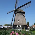 Het Zeepaardje * Dirkshorn