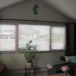 Het Zeepaardje * Dirkshorn