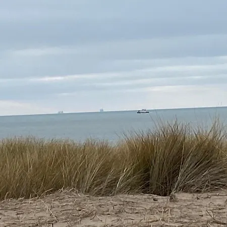 Het Zeepaardje 別荘 Dirkshorn