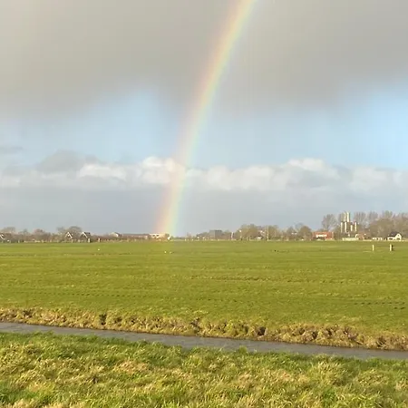 Het Zeepaardje * Dirkshorn