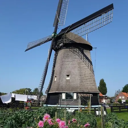 Het Zeepaardje * Dirkshorn