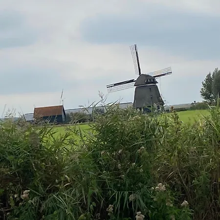 Het Zeepaardje Holiday home Dirkshorn