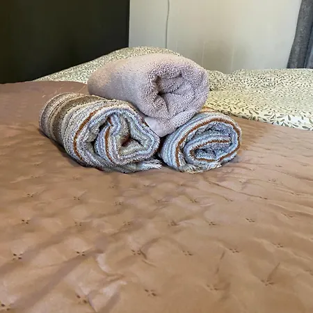 Het Zeepaardje 別荘 *