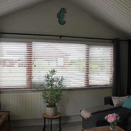 Het Zeepaardje * Dirkshorn