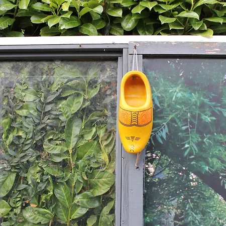 Het Zeepaardje 別荘 *