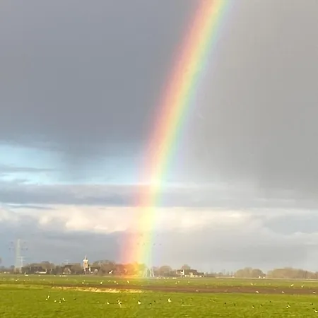 別荘 Het Zeepaardje