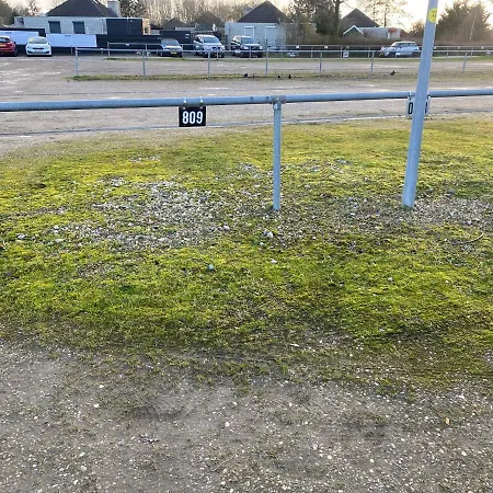 Dom wakacyjny Het Zeepaardje *