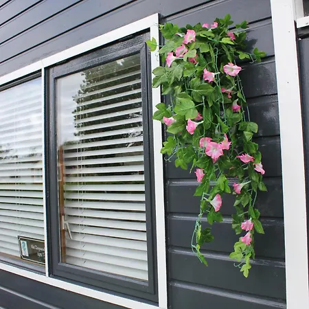 Het Zeepaardje Dom wakacyjny Dirkshorn