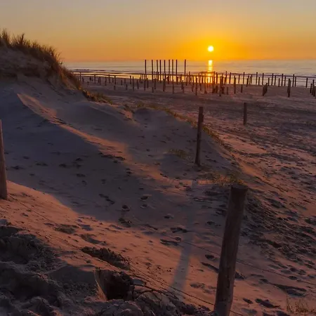 Dom wakacyjny Het Zeepaardje