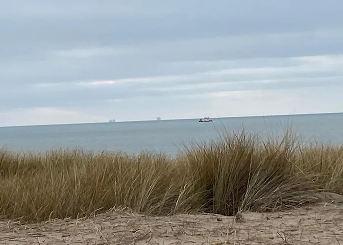 Het Zeepaardje Hébergement de vacances Dirkshorn
