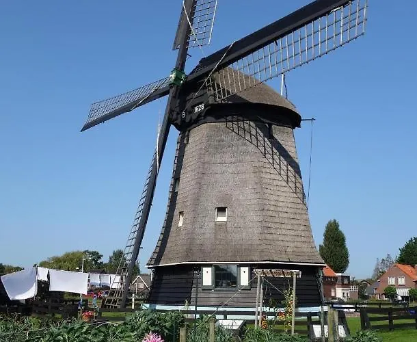 Het Zeepaardje * Dirkshorn