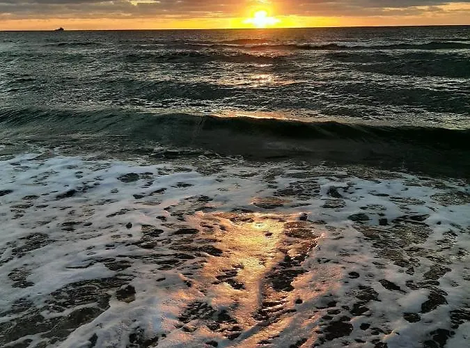 Het Zeepaardje Hébergement de vacances *